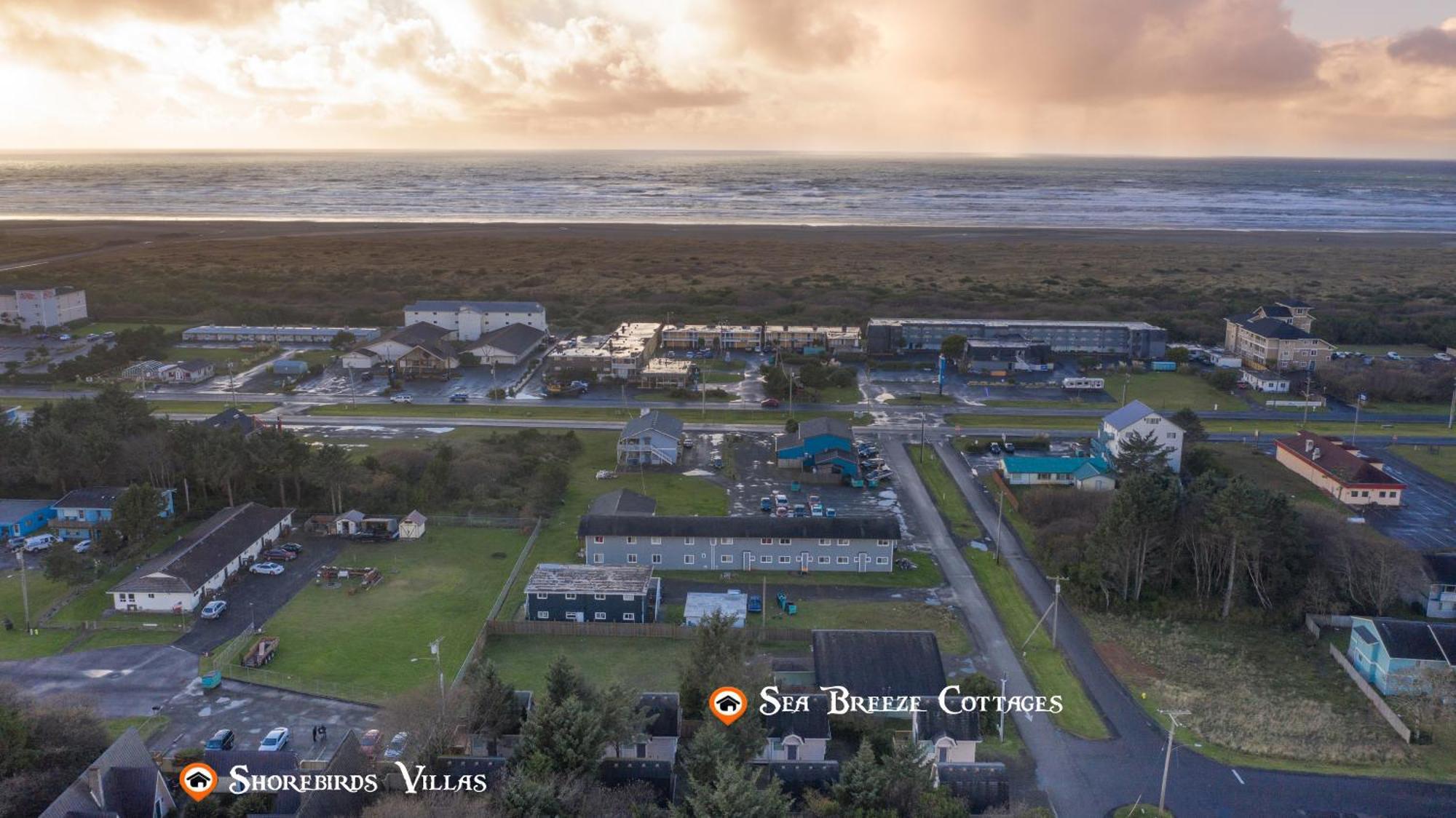Shorebirds Villas Ocean Shores Rom bilde